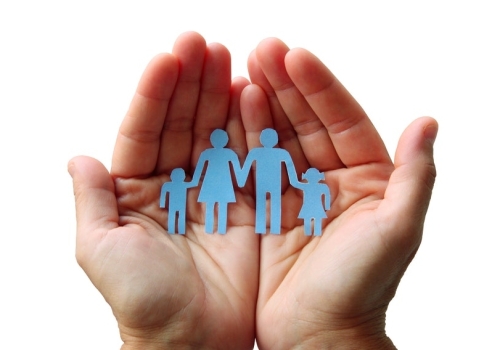 Social Assistance Activity